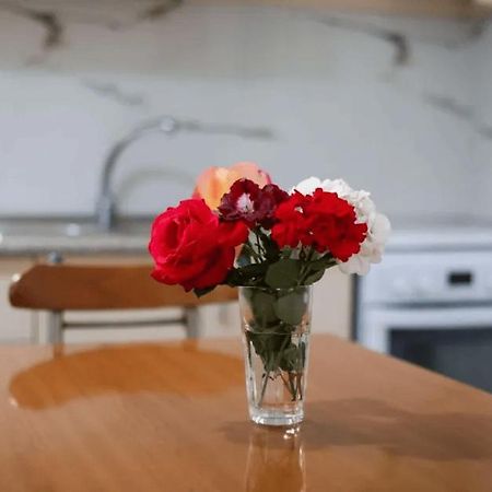 Vila Agolli Vlore Ngoại thất bức ảnh