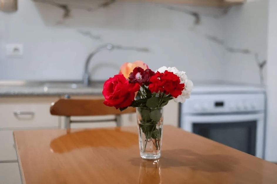 Vila Agolli Vlore Ngoại thất bức ảnh